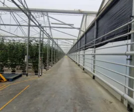 Het product Verwarming van Foliekassen