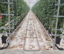 Het product Teeltgoten van Foliekassen