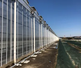 Het product Dekwasser van Foliekassen