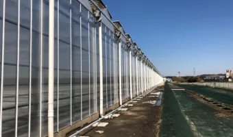 Bekijk deze foto van het product Breedkap Foliekas op Foliekassen