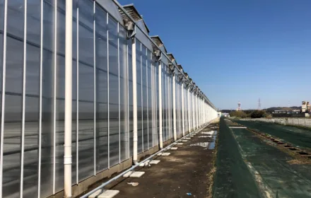 Bekijk deze foto van Breedkap Foliekas op Foliekassen
