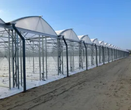 Het product Ventrio van Foliekassen