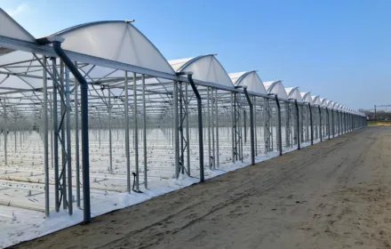 Bekijk deze foto van Ventrio Fruitteelt op Foliekassen