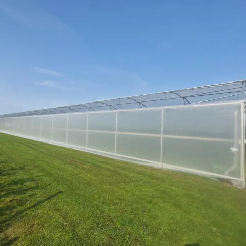 Agrow Ser Ventrio 10