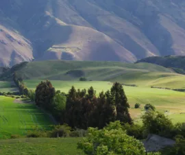 Het product AgrowSer Ventrio Aardbeienoverkapping van Foliekassen
