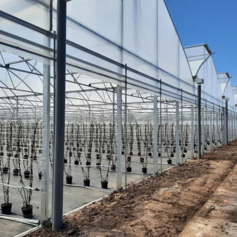 Van Zuilen Berry Brothers 1 Hoofdfoto