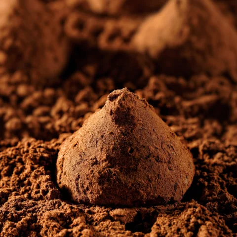 G8743f865327a263214e4f6def166bcc96e9c5f72f4b739bab149fa82e6a5f6757515e909e2f60a124858fbf777d7eac0